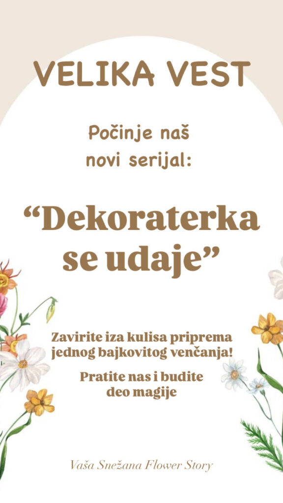 Serijal dekoraterka se udaje